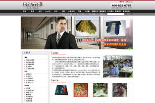 專業設計團隊助力羅湖營銷型網站建設 高清產品圖片與高效維護的致勝之道
